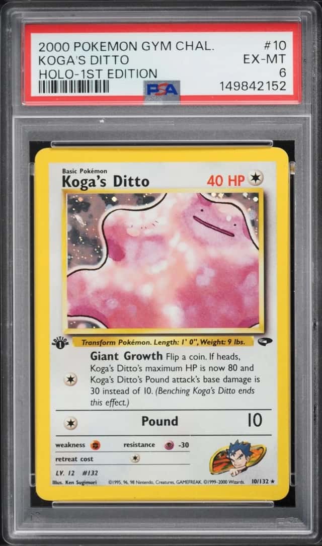 Koga's Ditto