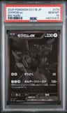 Zekrom Ex