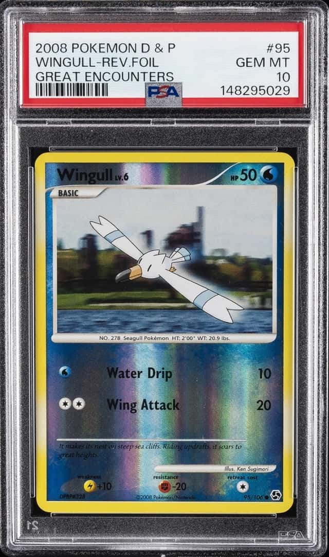 WINGULL-REV.FOIL