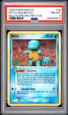 Ditto [squirtle]