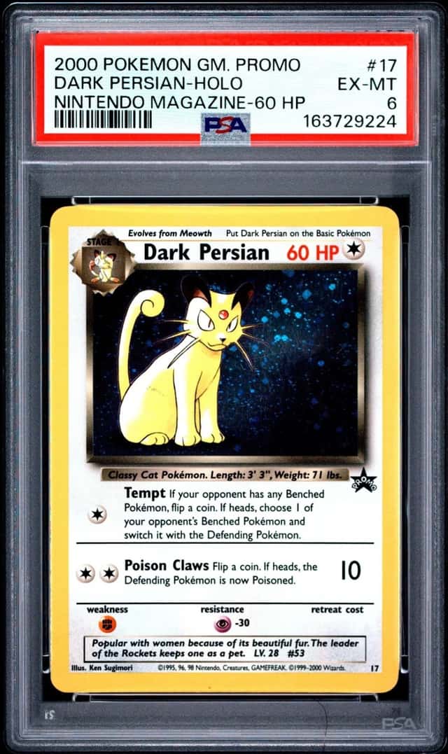 Dark Persian