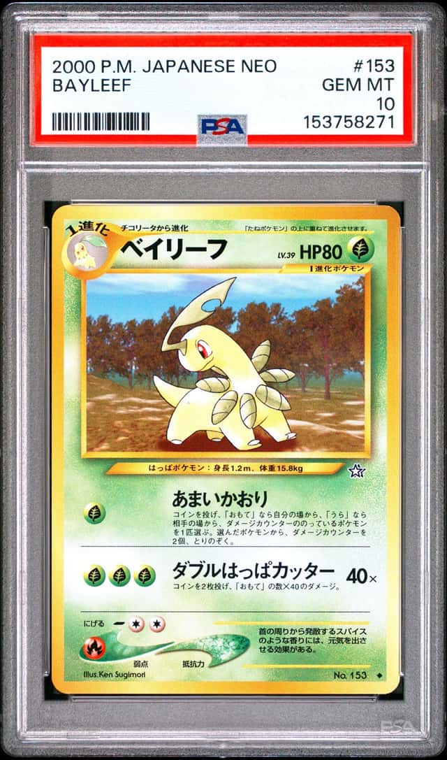 Bayleef