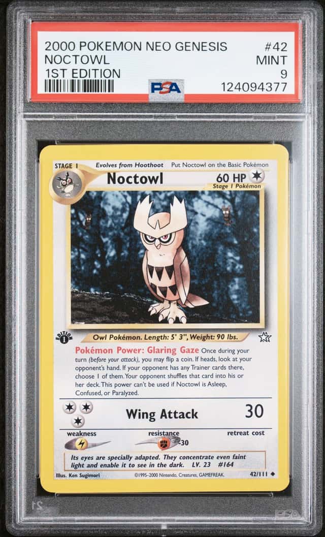 Noctowl