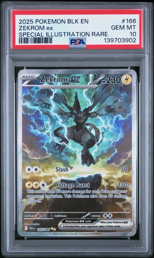 ZEKROM ex