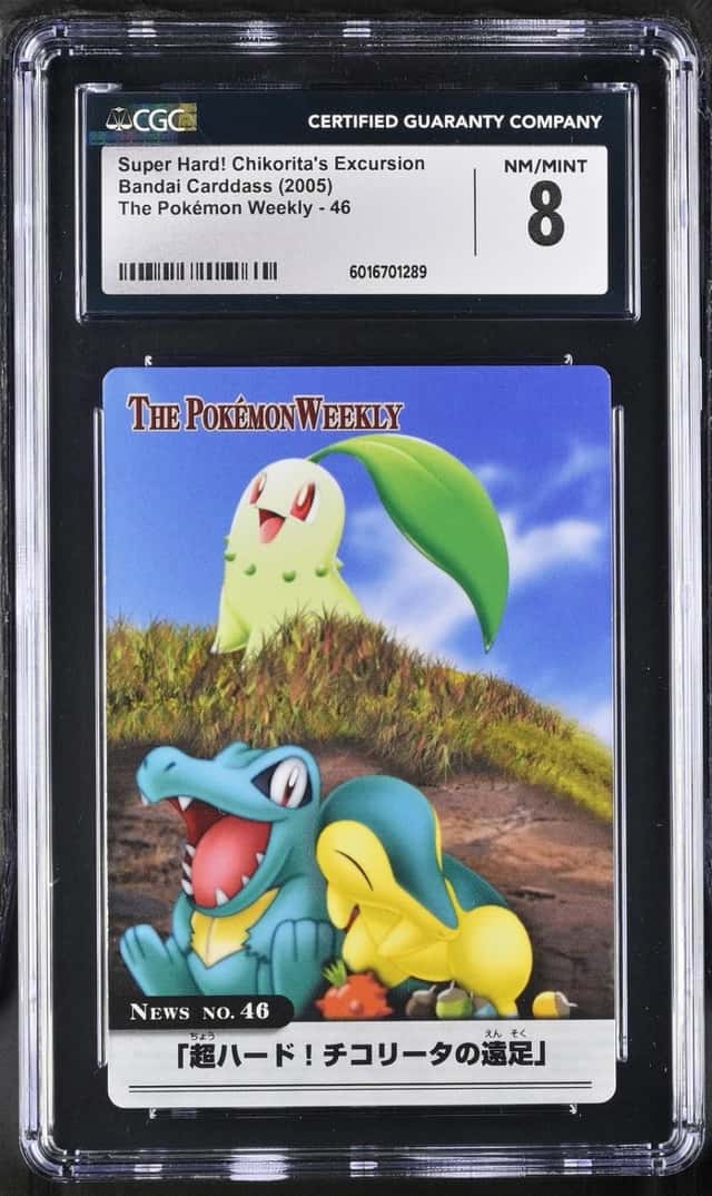 Super Hard! Chikorita's Excursion
