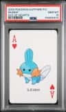 Mudkip