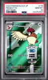 Pidgeotto