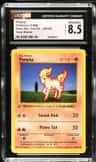 Ponyta