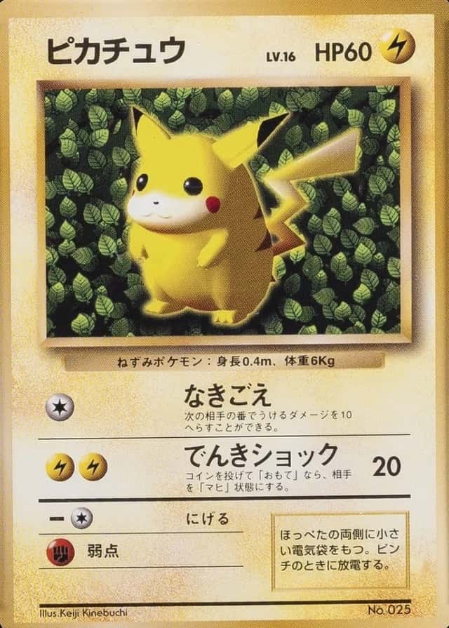 Non-Holo · Non-Glossy · Easily How Play To Understand