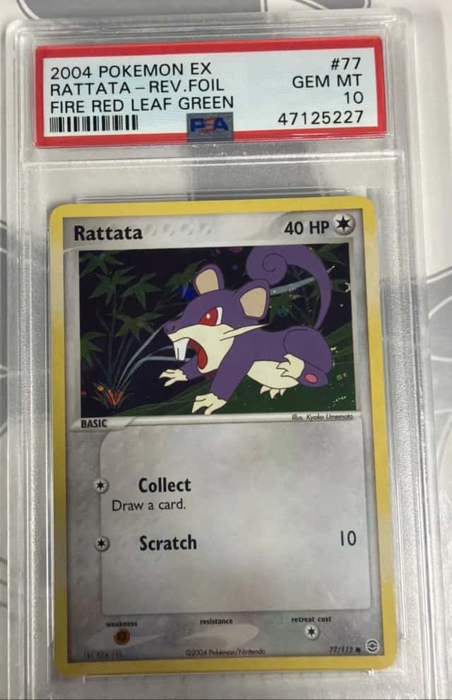 Rattata