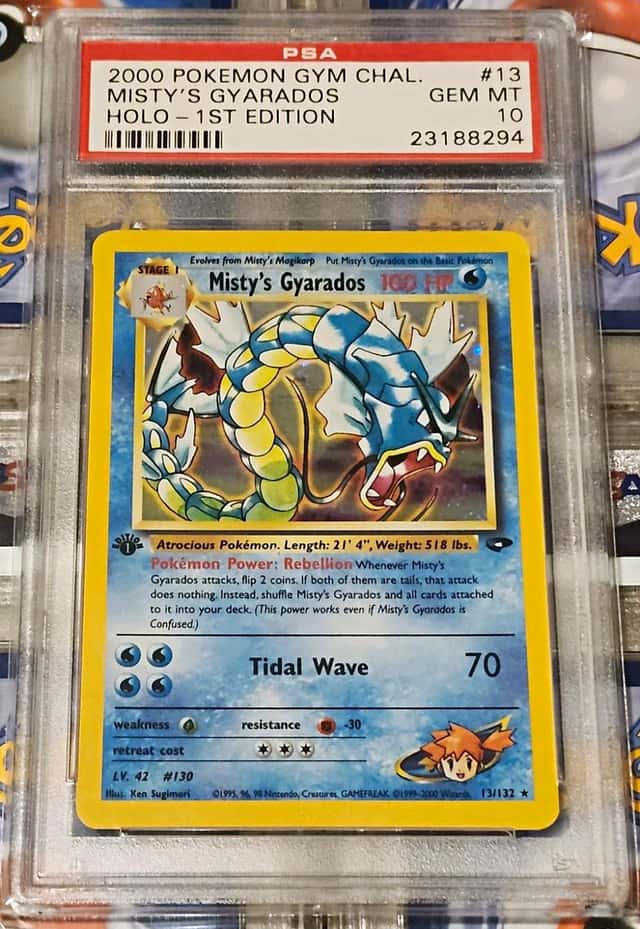 Misty's Gyarados