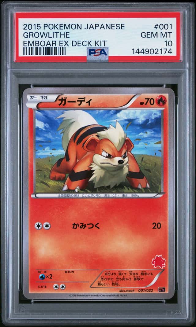 Growlithe