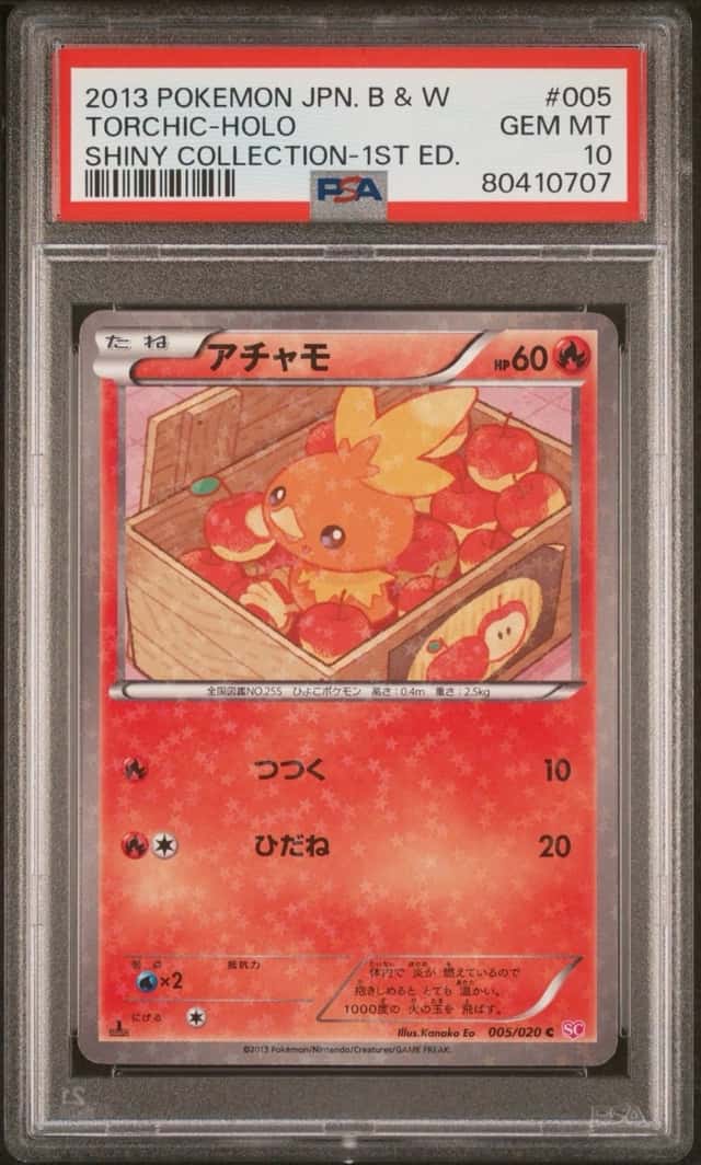 Torchic