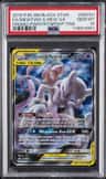 Mewtwo & Mew Gx