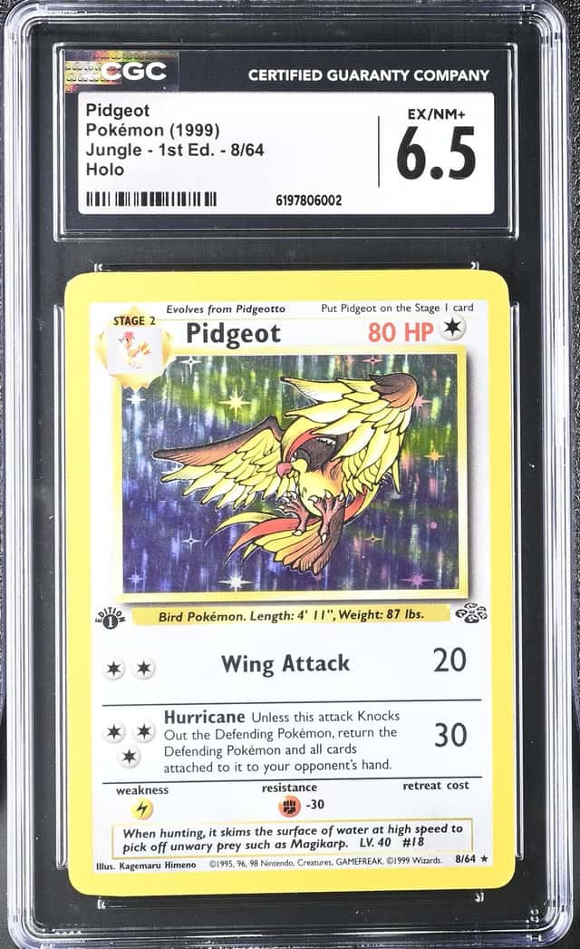 Pidgeot
