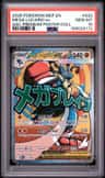Mega Lucario Ex