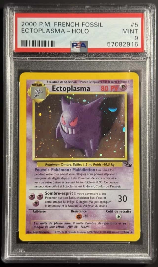 Ectoplasma