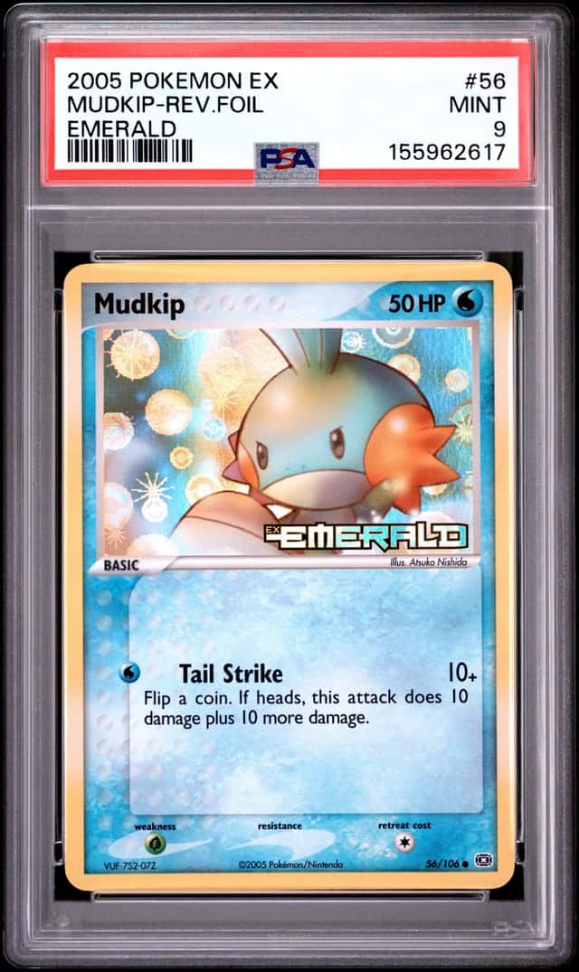 Mudkip