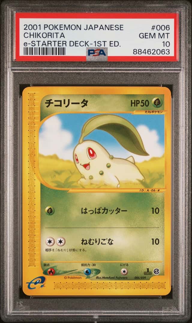Chikorita