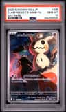 Team Rocket'S Mimikyu