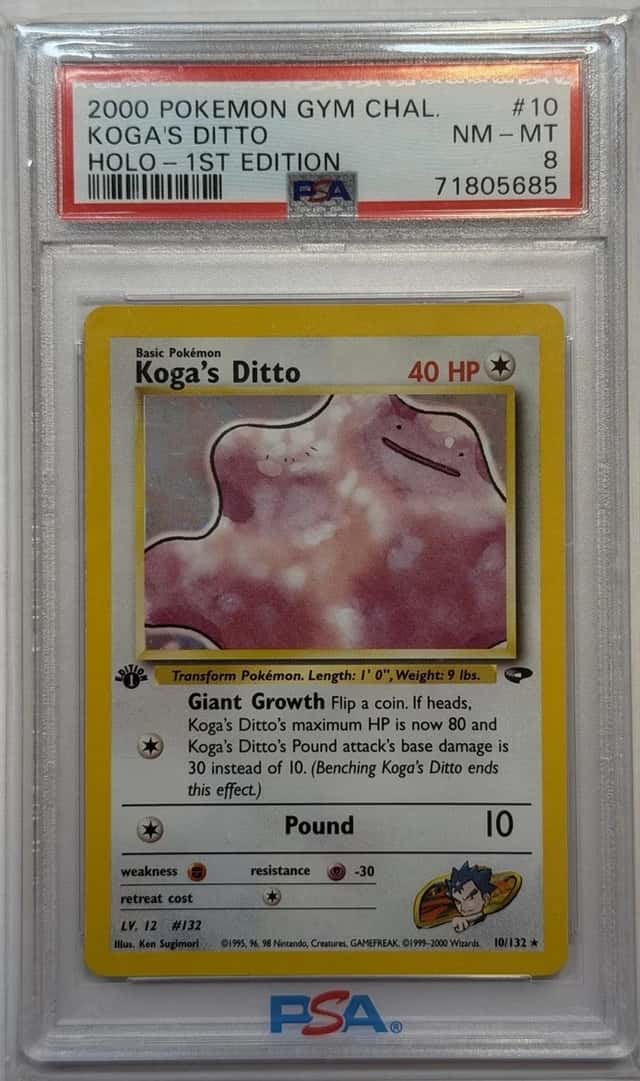 Koga's Ditto