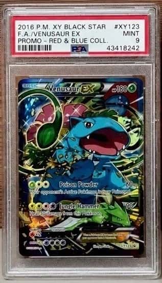 Venusaur EX