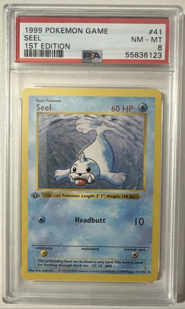 Seel