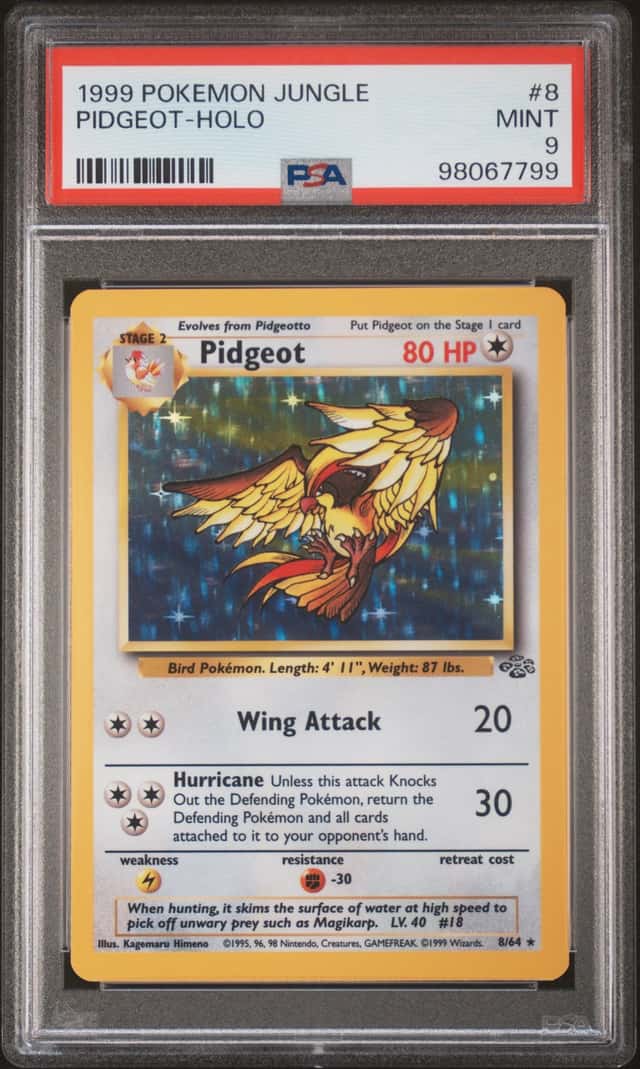 Pidgeot