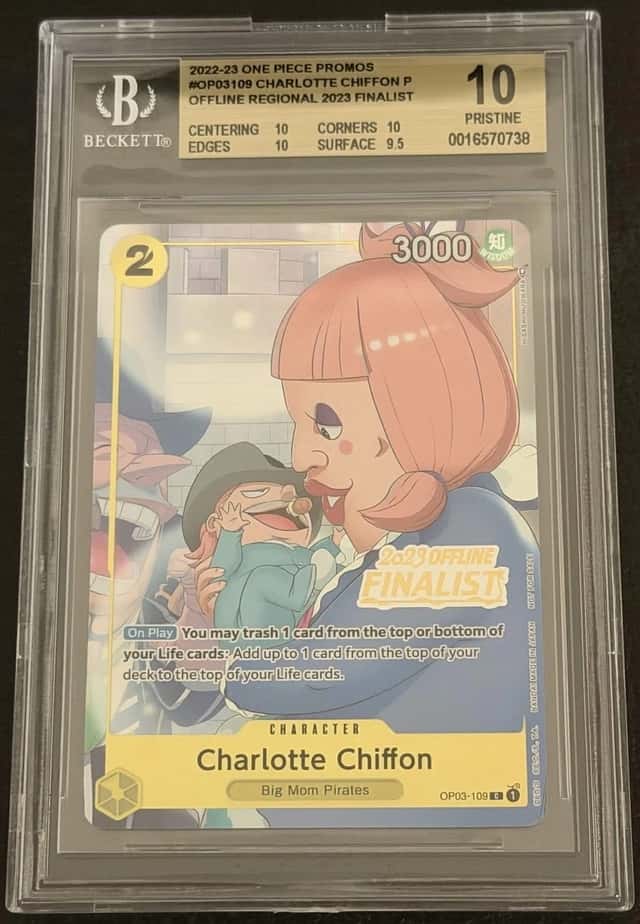Charlotte Chiffon