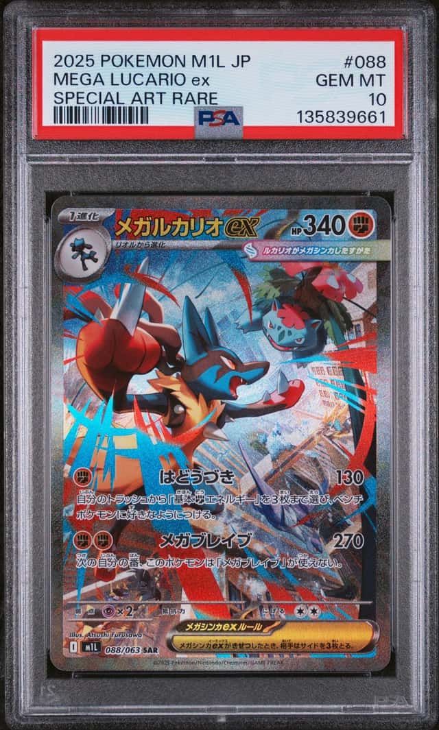 MEGA LUCARIO ex