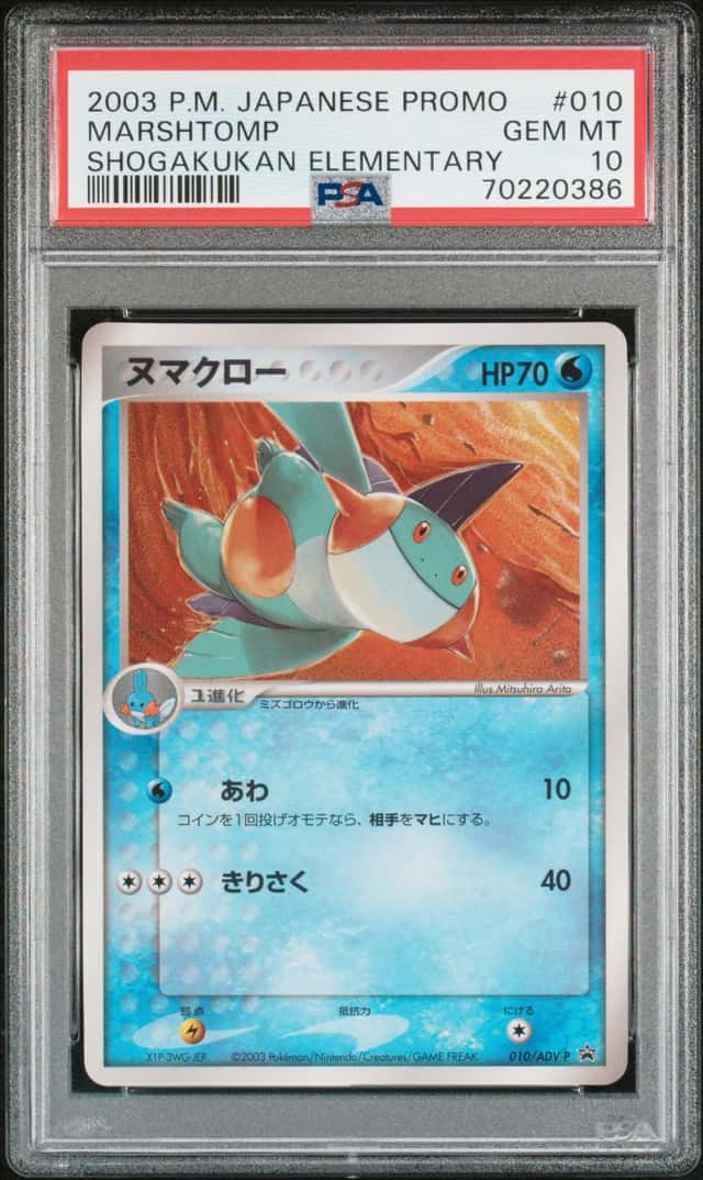 Marshtomp