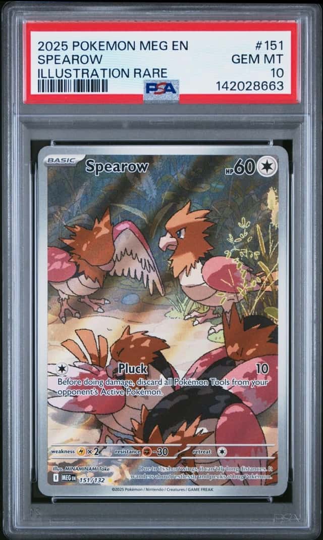 Spearow