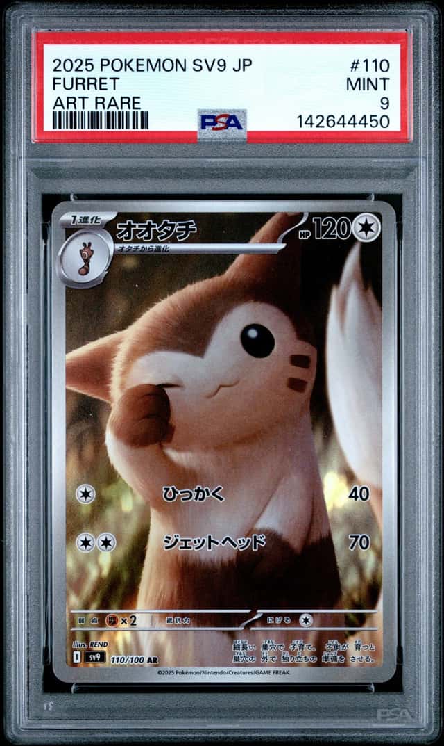 Furret