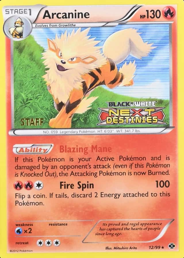 Holo · Prerelease · Staff