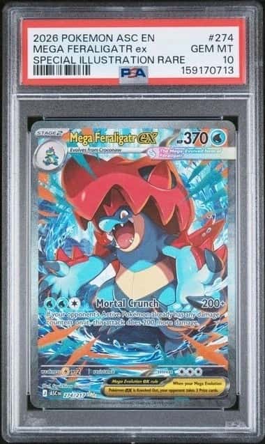 MEGA FERALIGATR ex