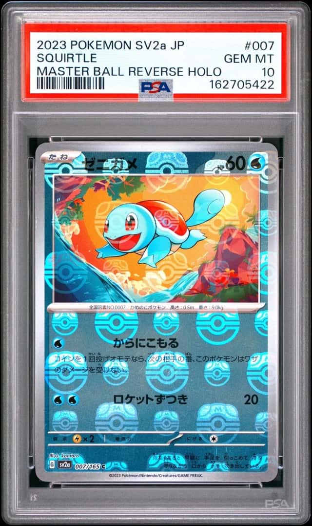 Squirtle