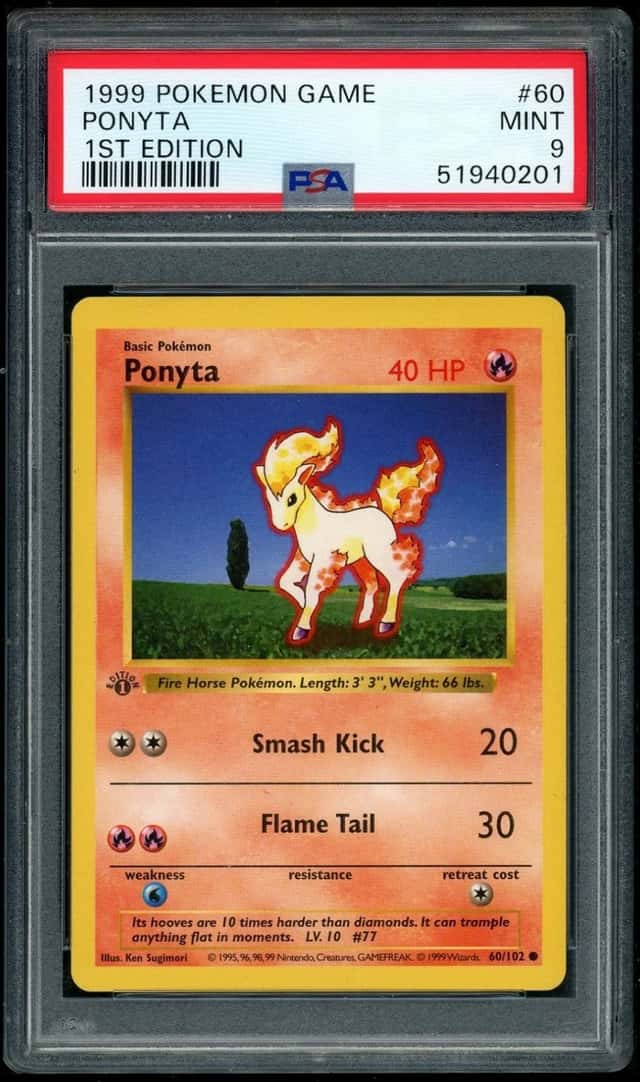 Ponyta