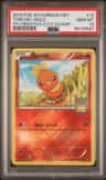 Torchic