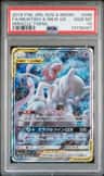 Mewtwo & Mew Gx
