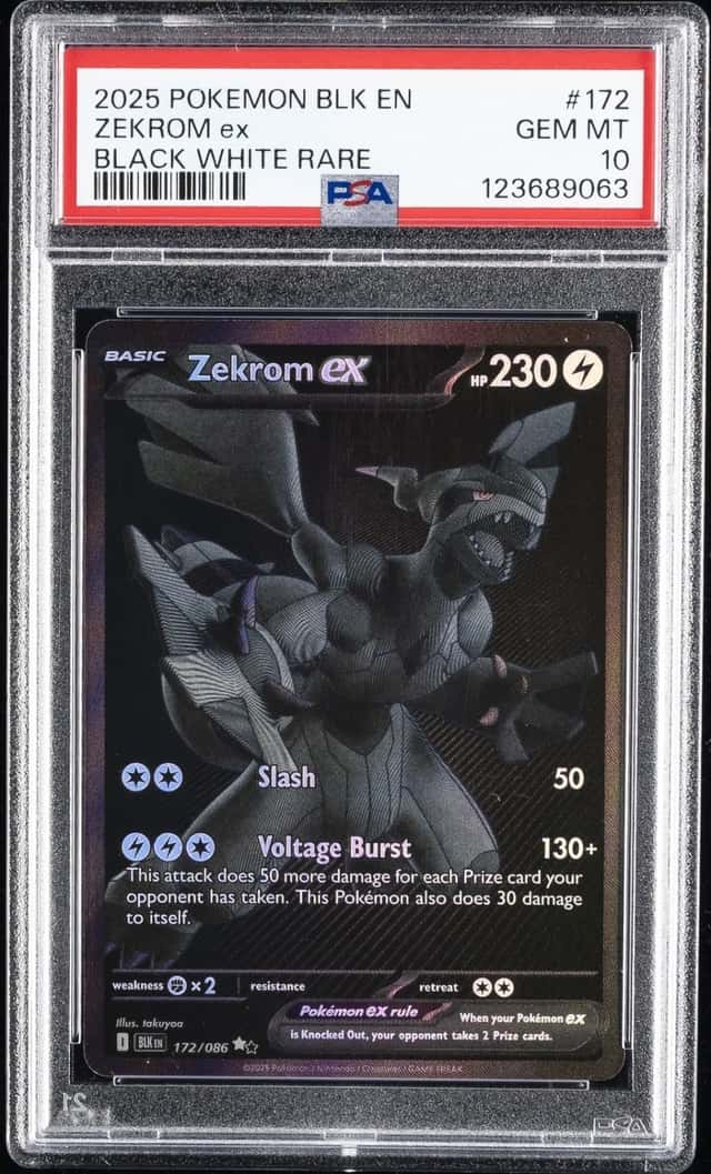 ZEKROM ex