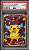 Poncho-Wearing Pikachu