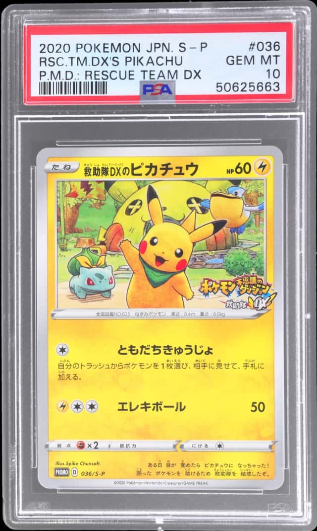 Rescue Team Dx's Pikachu