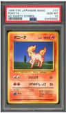 Ponyta