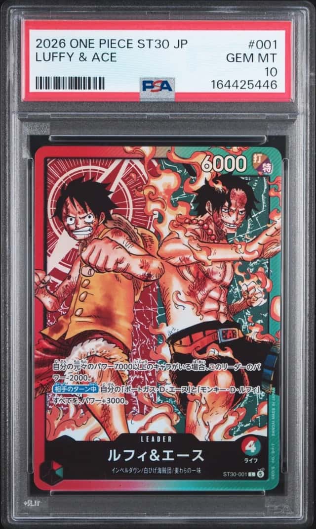 Luffy & Ace
