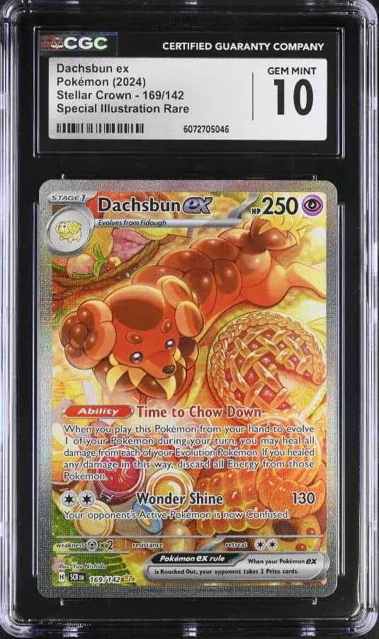 DACHSBUN ex
