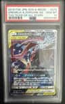 Greninja & Zoroark Gx