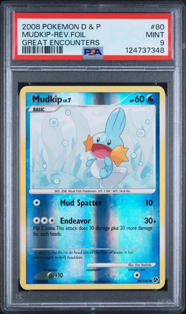 Mudkip