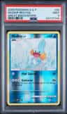 Mudkip