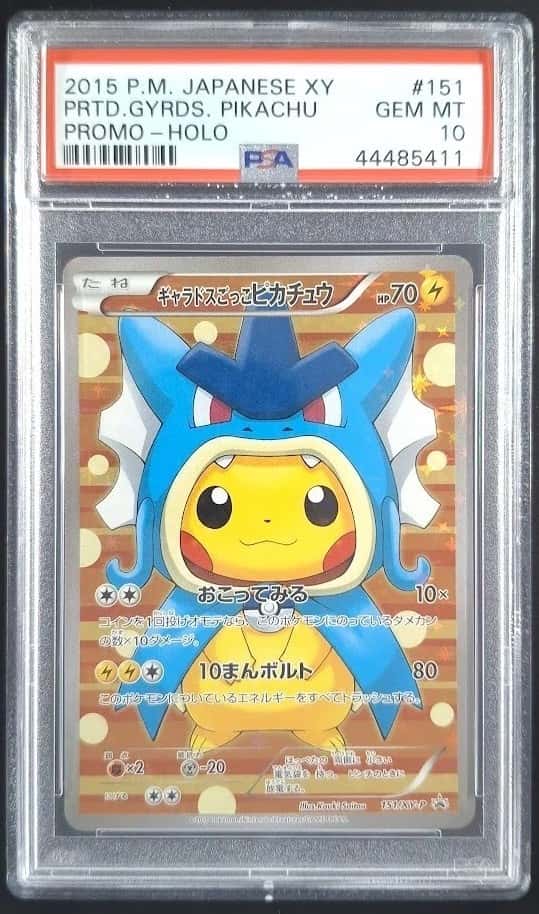 Pretend Gyarados Pikachu