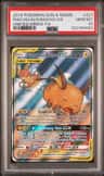 Raichu & Alolan Raichu Gx